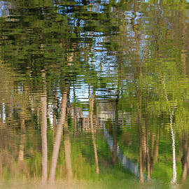 Watercolour by Shankar Adiseshan