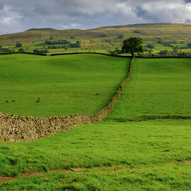 Wensleydale by Seeables Visual Arts