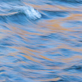 Watercolour by Shankar Adiseshan