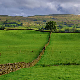 Wensleydale by Seeables Visual Arts
