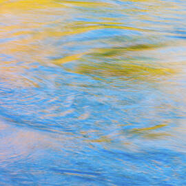 Watercolour by Shankar Adiseshan