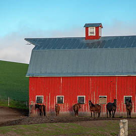 8 Horses and a Red Barn by Mary Lee Dereske