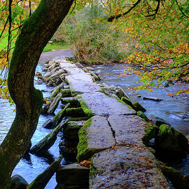 Tarr Steps by Seeables Visual Arts