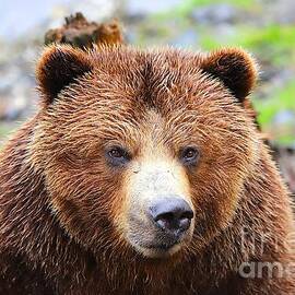 9987 by Donn Ingemie