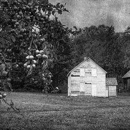 A Bavarian Man's Dream by Mary Lee Dereske