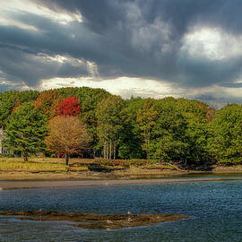A Beautiful Fall Day by Penny Polakoff