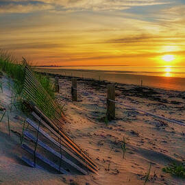 A New Beginning by Penny Polakoff