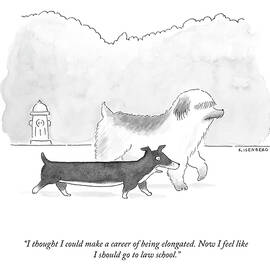 A Career of Being Elongated by Kate Isenberg