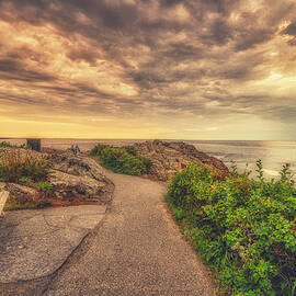 A Cherished View by Penny Polakoff