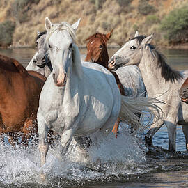 A Colorful Band. by Paul Martin