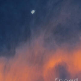 A dreamy night's sky Art Print by Abigail Diane Photography
