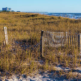 A dunes view by Oceanic SkyView
