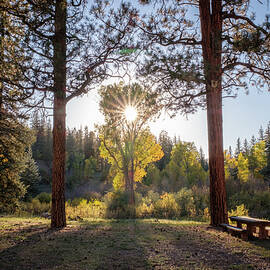 A Fine Evening for a Picnic in Southern Colorado by Mary Lee Dereske