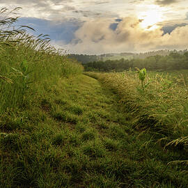 A Grassy Path into Cloudy Hills by Jason Fink