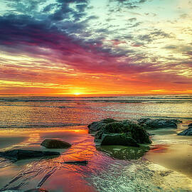 A Magical Moment by Penny Polakoff