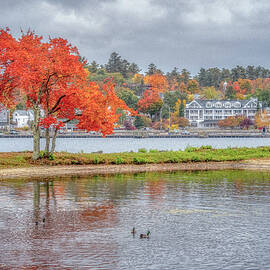 A Misty Afternoon in Meredith by Penny Polakoff