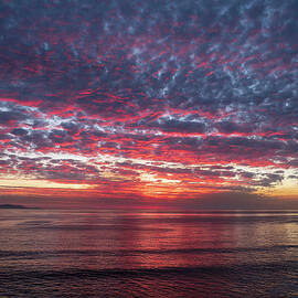 A Moment on the Pacific by Joe Schofield