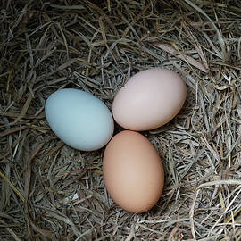 A Perfect Start by Richard Reeve