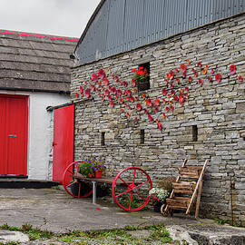 A Pop of Red in Ireland by Mary Lee Dereske