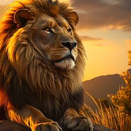 A proud lion watching over his pride at sunset No 3 by Andre Petrov