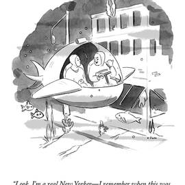 A Real New Yorker by Emily Flake