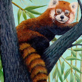 A Red Panda for Kieran by Sarah Irland
