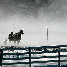 a single jockey horse racing sulky by Louis Dallara