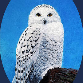 A Snowy Owl for Magnus, Oval by Sarah Irland
