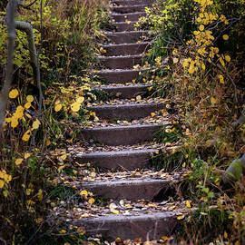 A stairway to heaven by Matt Halvorson