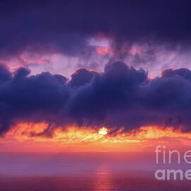 Passion Purple Sunset by Abigail Diane Photography