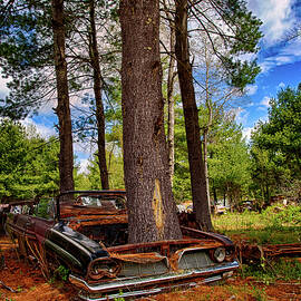 A Tree Grows In Pontiac  by Jeff Sinon