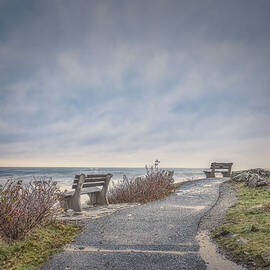 A Winter Morning on Marginal Way by Penny Polakoff