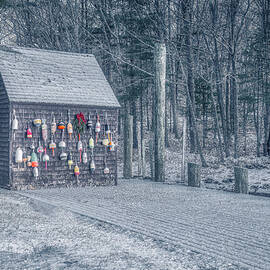 A Winter Morning on Paddy Creek Road by Penny Polakoff
