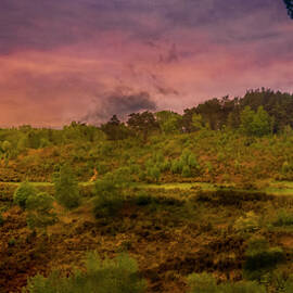 A3 Return to Nature by Chris Boulton