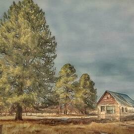 Abandoned Cabin by Jeffrey Kolker