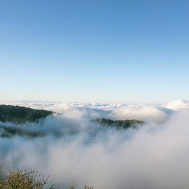 Above the Clouds by Alison Frank