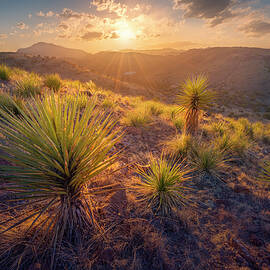 Above the Desert by Slow Fuse Photography