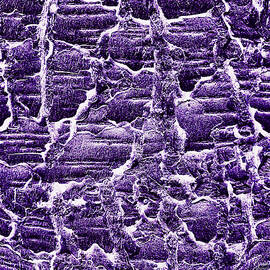 Abstract - pine tree bark by Bruce Block