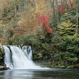 Abrahms Falls in Autumn by Michael Collins