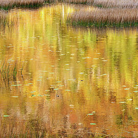 Impressionist Autumn by Richard DeYoung