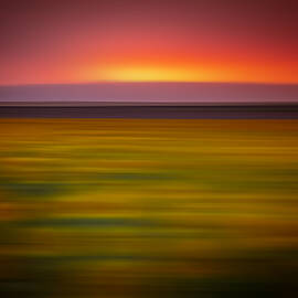 Abstract of Sunflowers at Sunset by Kevin Schwalbe