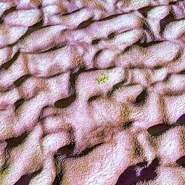 Abstract tidal Sands by Bruce Block