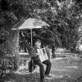 Accordion Player Lithuania by Mary Lee Dereske