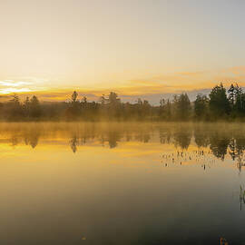 Adirondacks Autumn at Tupper Lake 2 by Ron Long Ltd Photography
