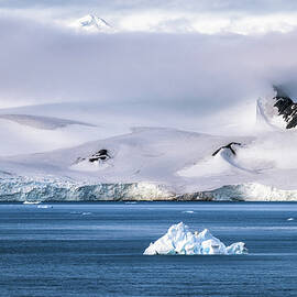 Adrift by DEE POTTER