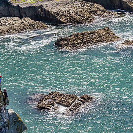Adventurers on the Cliffside by Shirley Mitchell