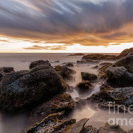 After the Storm, Laguna Beach, California by Abigail Diane Photography