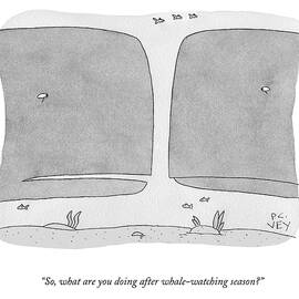 After Whale Watching Season by Peter C Vey