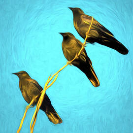 Afternoon in the Sun by Rebecca Herranen