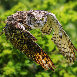 Air Force by DEE POTTER